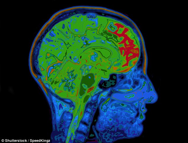 MRI Brain on Love