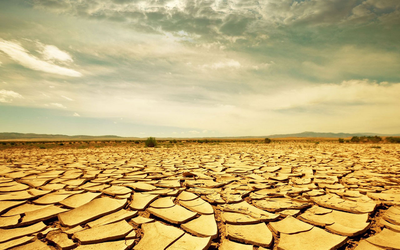 Mudflats